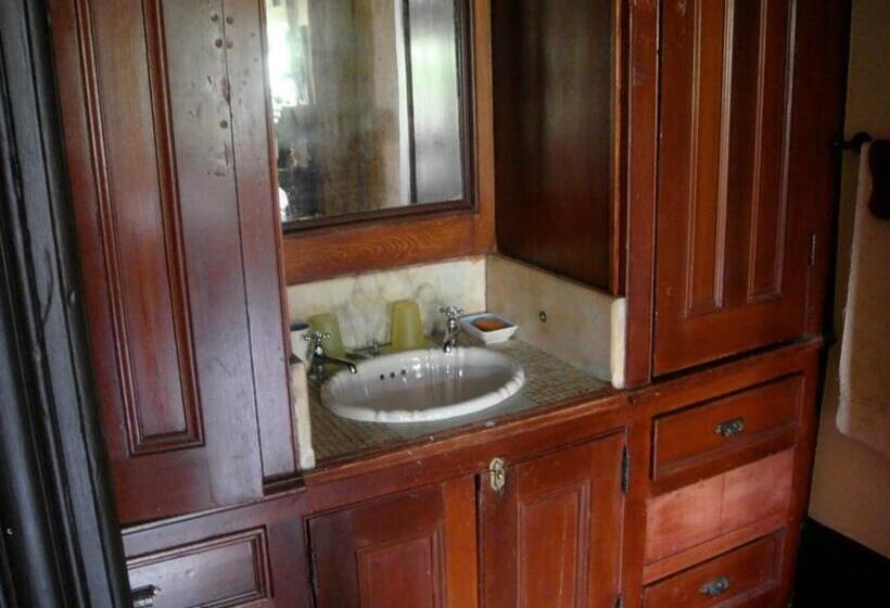 酒店 The Harlem Flophouse