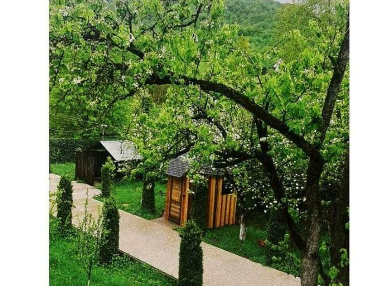 پانسیون Green Garden Guesthouse