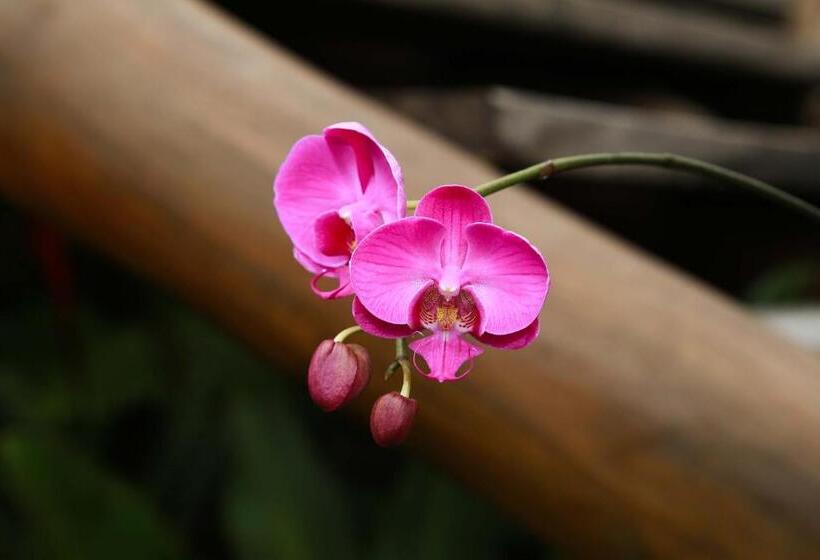 هاستل Pousada Mariola