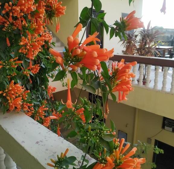 مبيت وإفطار Keshav Palace