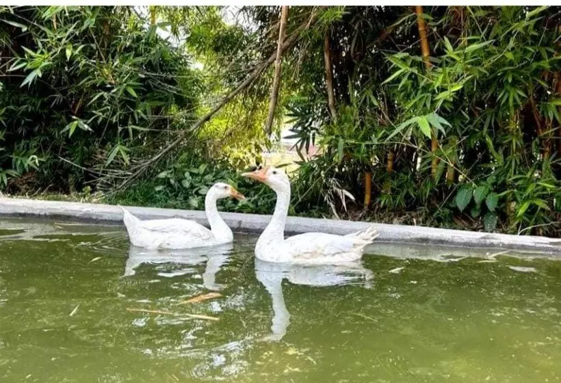 Click Resort Corbett Tiger Den