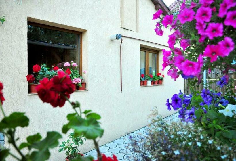 پانسیون Casa Maria