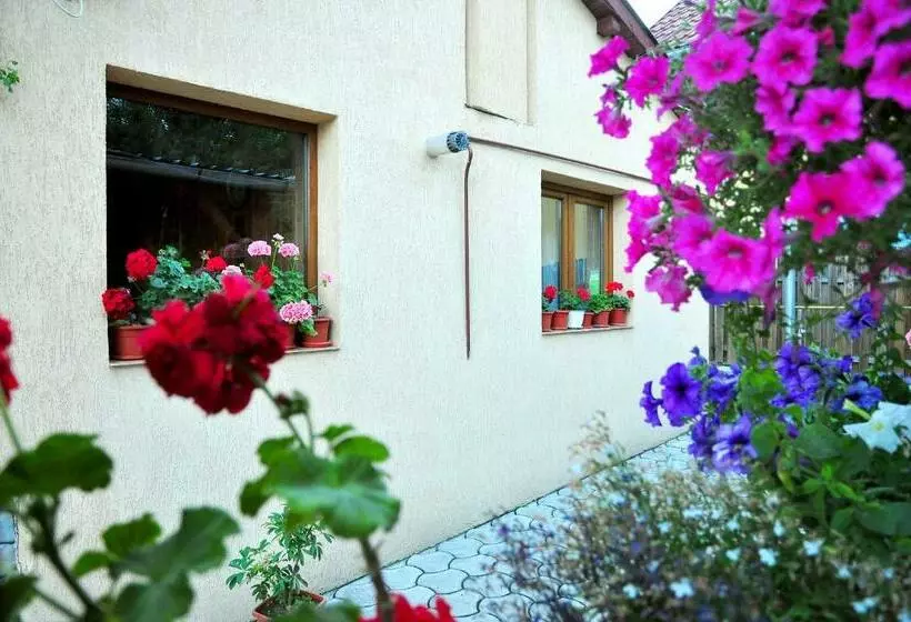 پانسیون Casa Maria