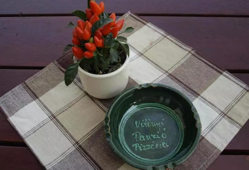 ペンション Vitényi Pince Vendégház