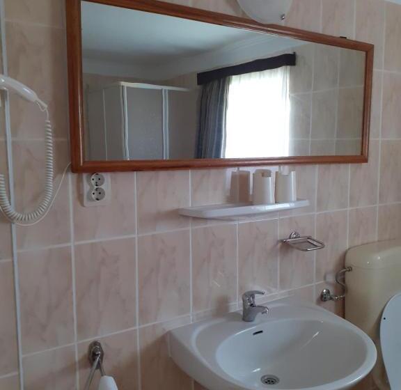 Pensiunea Floare De Colt