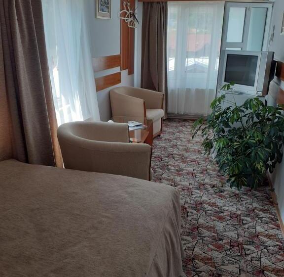 Pensiunea Floare De Colt