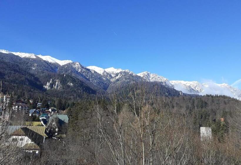 Pensiunea Floare De Colt