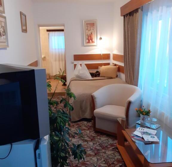 Pensiunea Floare De Colt