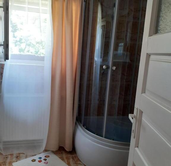 Pensiunea Floare De Colt