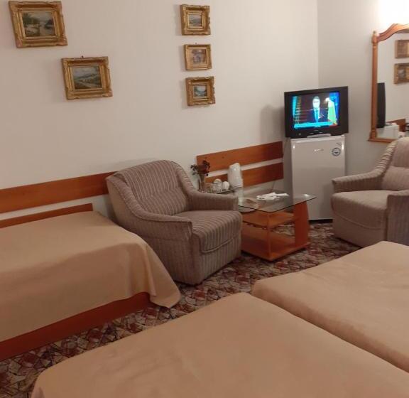 Pensiunea Floare De Colt