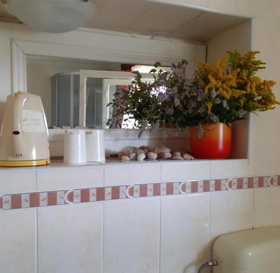 Pensiunea Floare De Colt