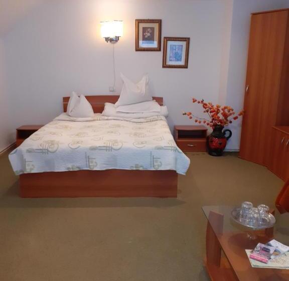 Pensiunea Floare De Colt