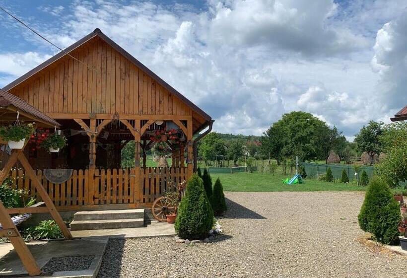 Pensiunea Todorica Sergiu