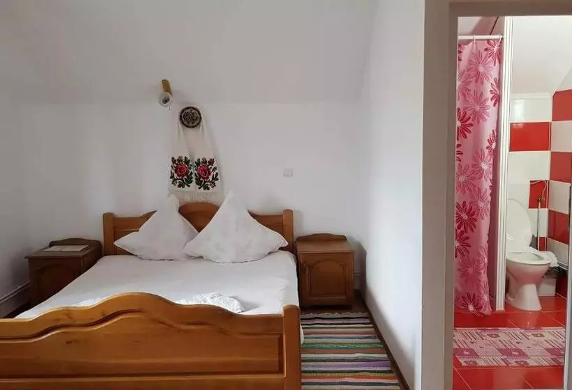 Pensiunea Todorica Sergiu