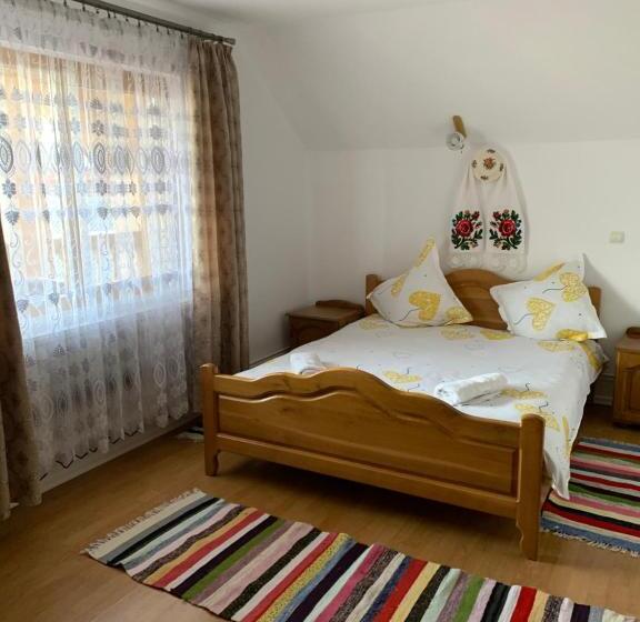 Pensiunea Todorica Sergiu