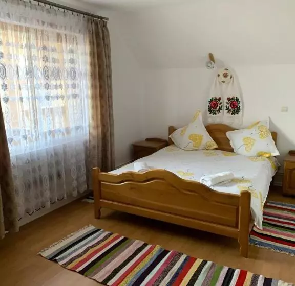 Pensiunea Todorica Sergiu