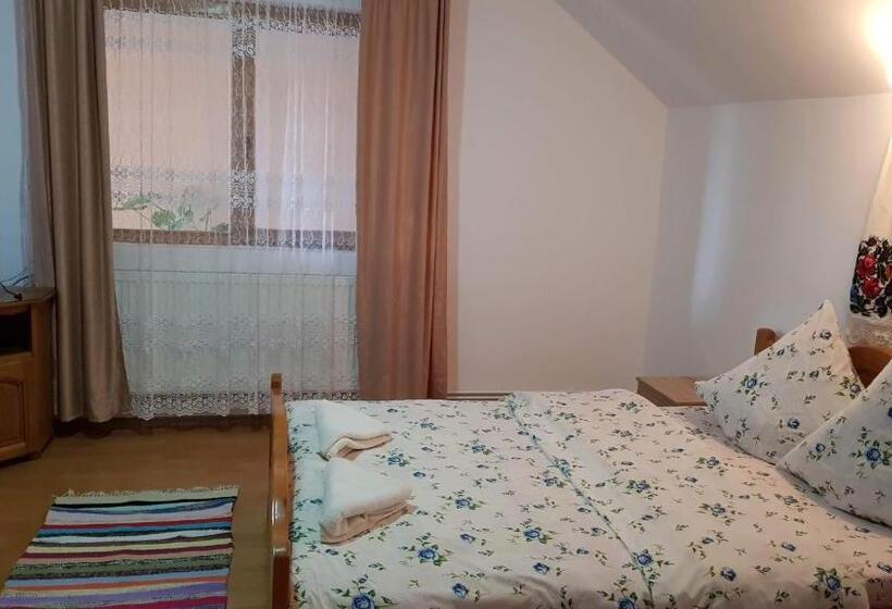 Pensiunea Todorica Sergiu