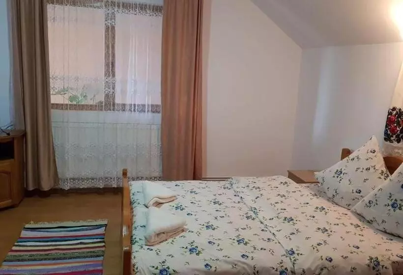 Pensiunea Todorica Sergiu