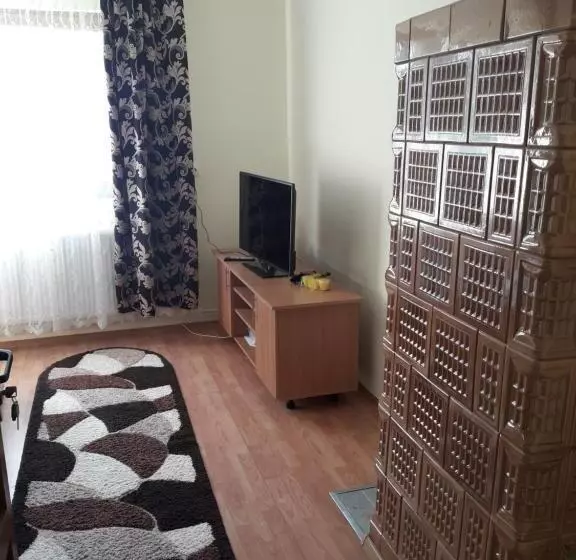 Pensiunea Todorica Sergiu