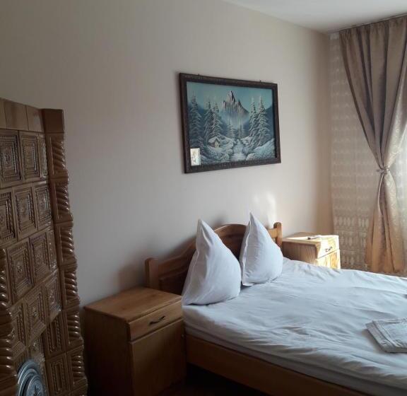 Pensiunea Todorica Sergiu