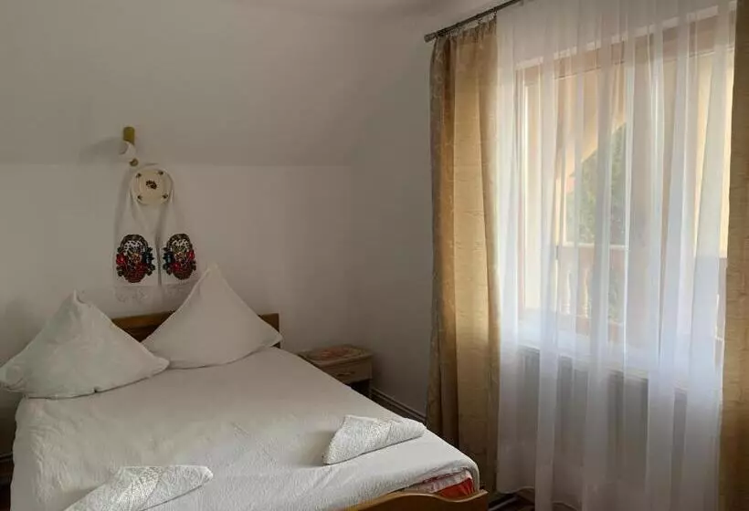 Pensiunea Todorica Sergiu