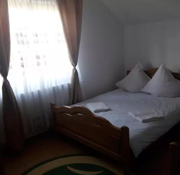 Pensiunea Todorica Sergiu