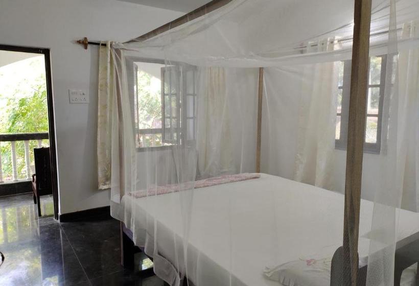 渡假胜地  Costantina   Agonda Beach