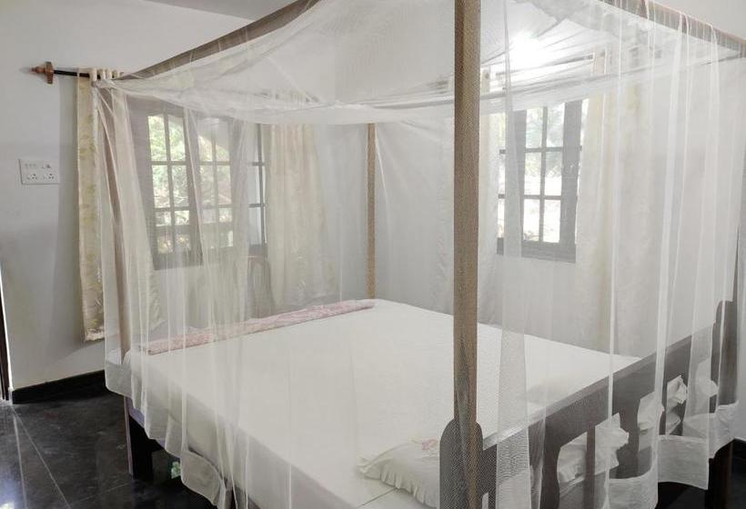 渡假胜地  Costantina   Agonda Beach