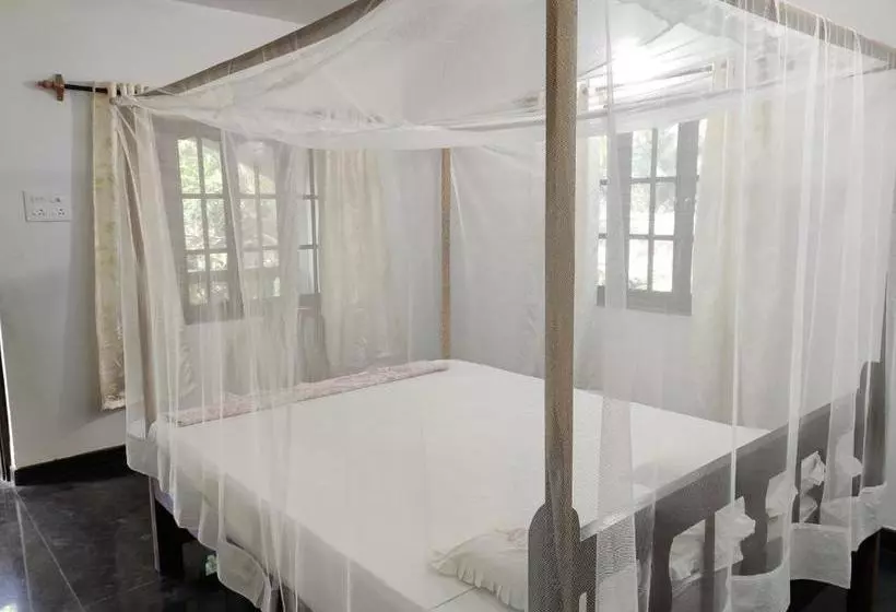 Lomakeskus Costantina   Agonda Beach