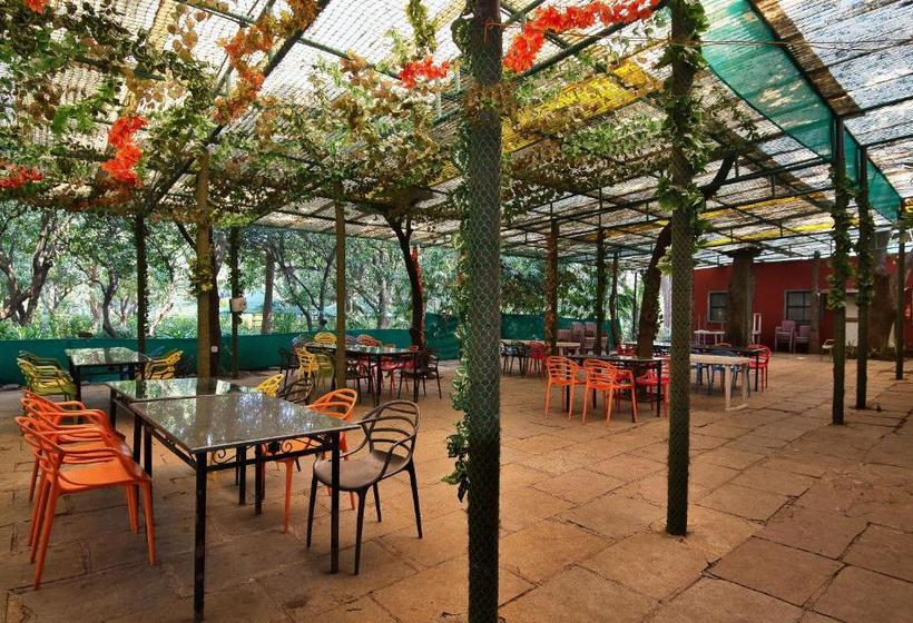 Srushti Farms Resort