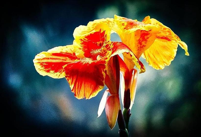 Srushti Farms Resort