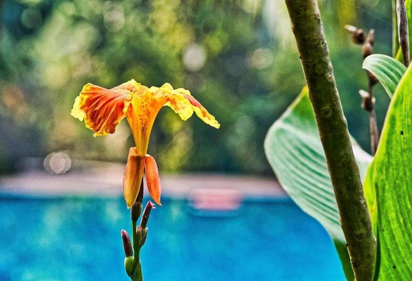 Srushti Farms Resort