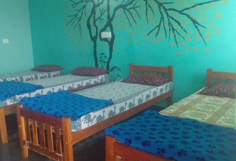 پانسیون Mg Cottages And Dormitory