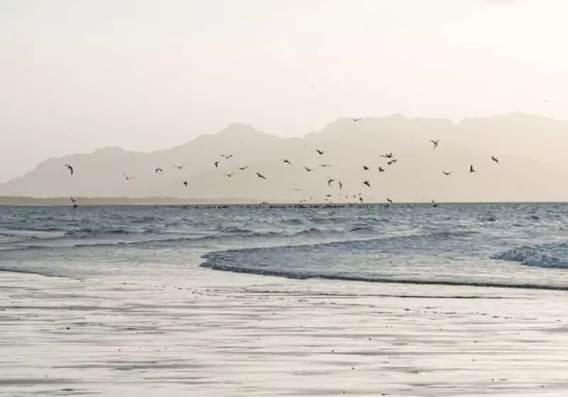 Nomada Republic Hotel Punta Chame