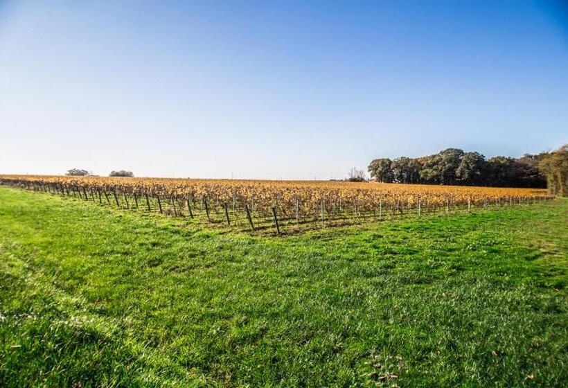 膳宿费 La Grange Du Cleray