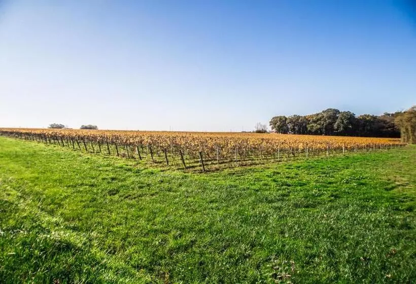 Majatalo La Grange Du Cleray