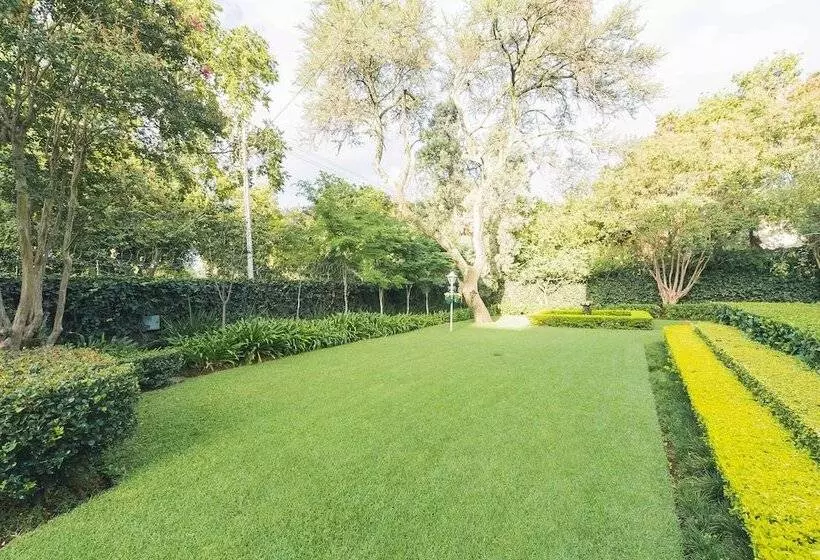 Majatalo One Of Our Top Picks In Pretoria  Lovely Spacious Room With Breakfast