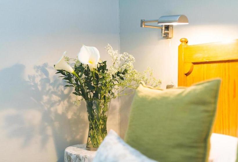 פנסיון Room In Bb - Lovely Guesthouse In Pretoria Welcoming You On A Spacious Room With Breakfast