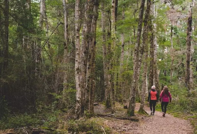 ユースホステル Lone Moose Backpackers