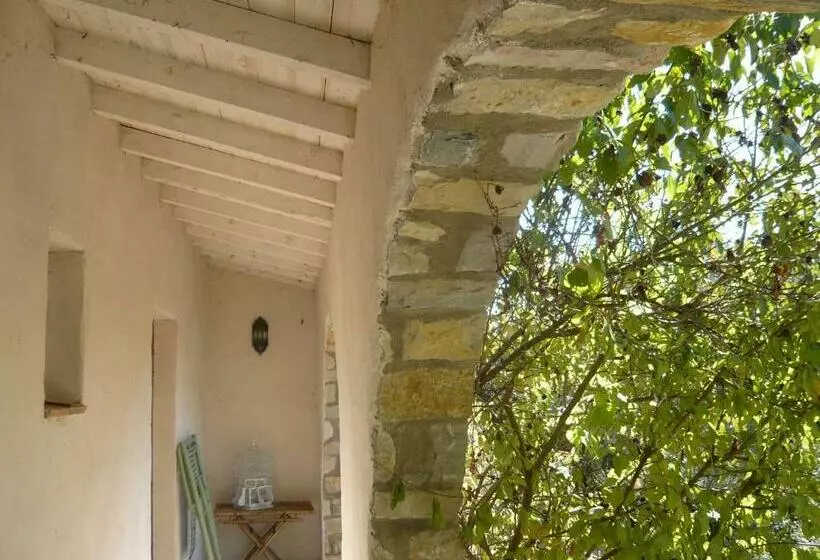 ベッドアンドブレックファースト L'ostal Du Pic St Loup