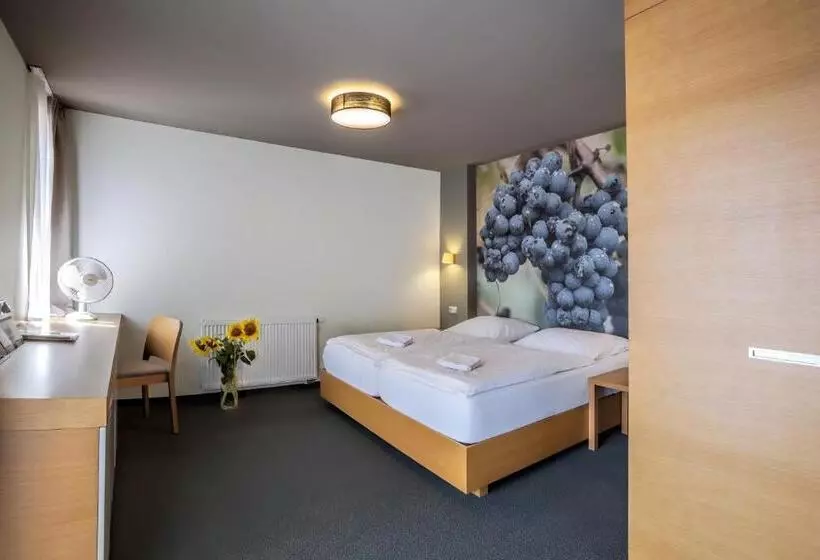 Hotelli Lidový Dům