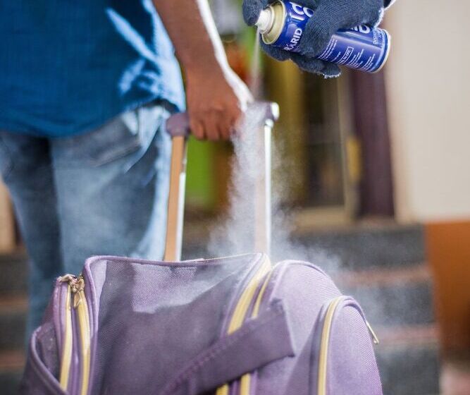 Resort Lakshmi Vilas