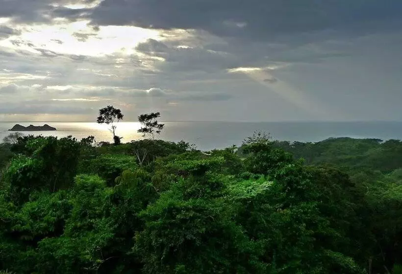 Cristal Ballena Boutique Hotel & Spa