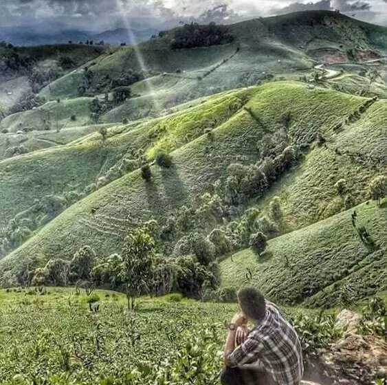 ホテル Above The Sea Maesariang