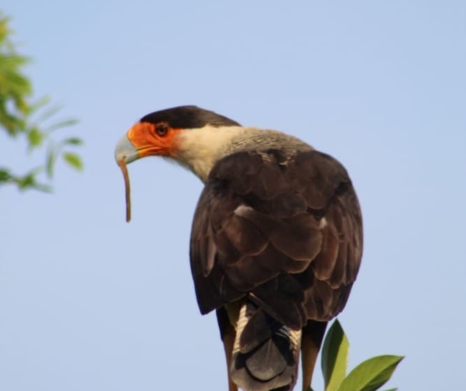 Ecolirios Boutique Hotel & Villas