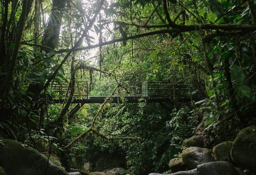 Ecolirios Boutique Hotel & Villas