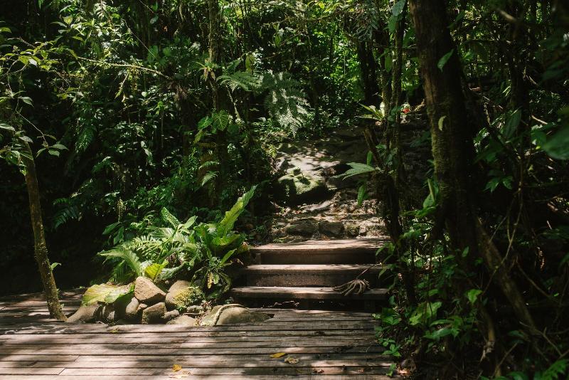 Ecolirios Boutique Hotel & Villas