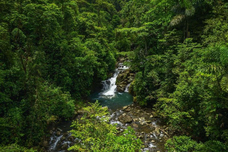 Ecolirios Boutique Hotel & Villas