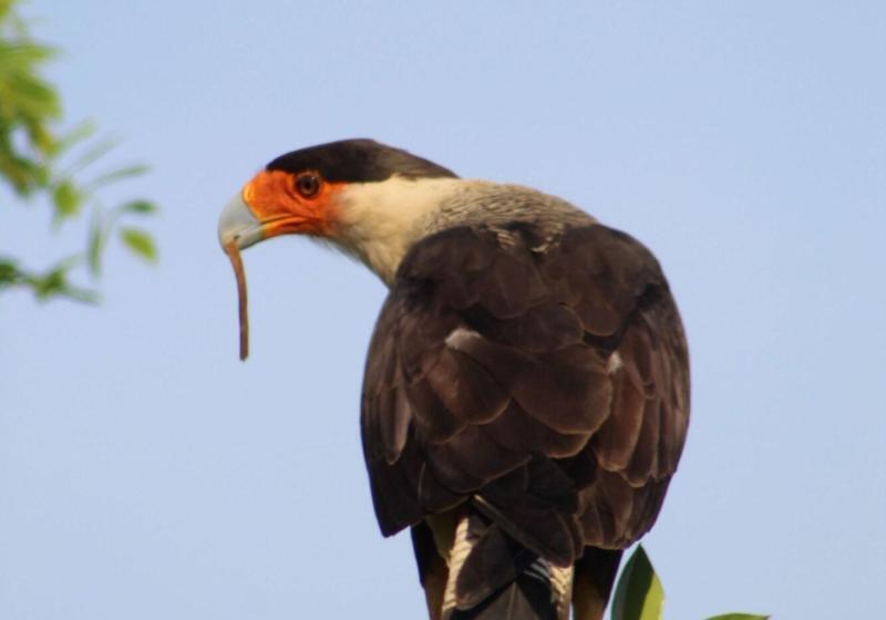 Ecolirios Boutique Hotel & Villas