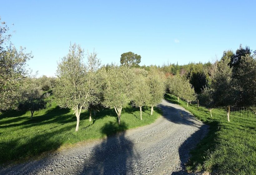 酒店 Tasman Hill Lodge   Adult Only